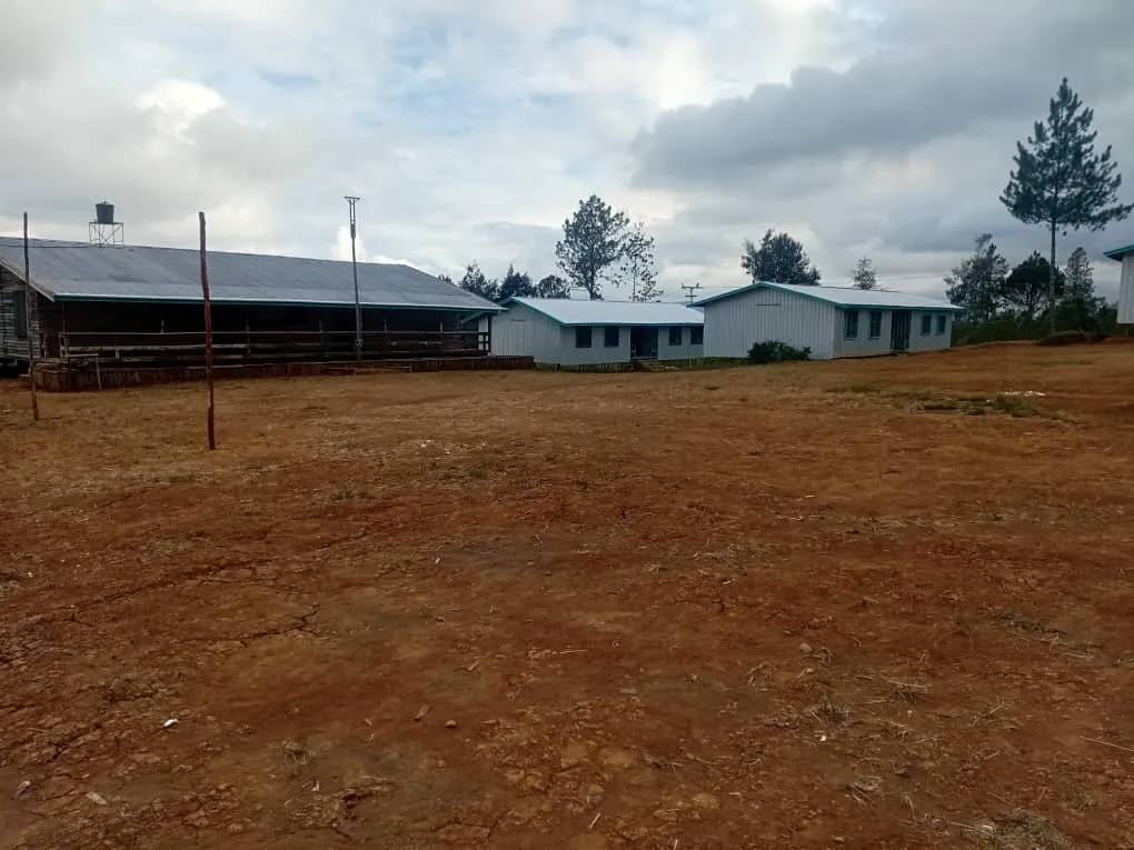 Iombi Schools