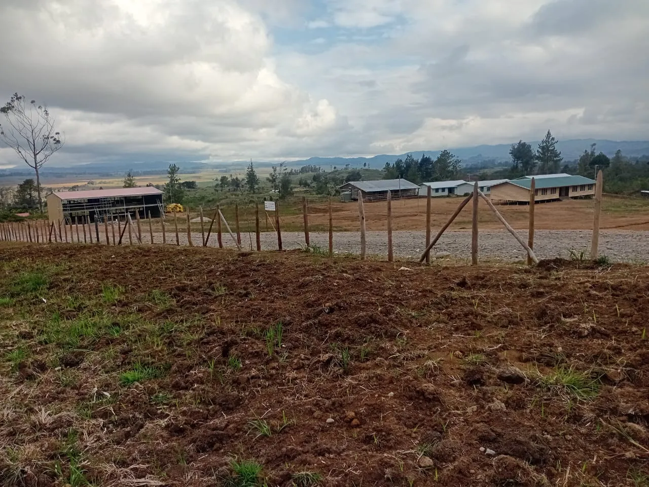 Iombi Schools